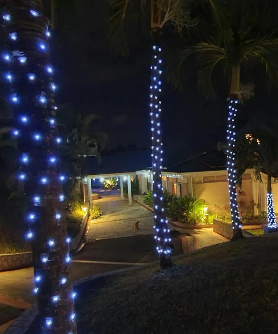 Pipirite Chantant - Studios Vue Mer Sainte-Rose Apartmán
