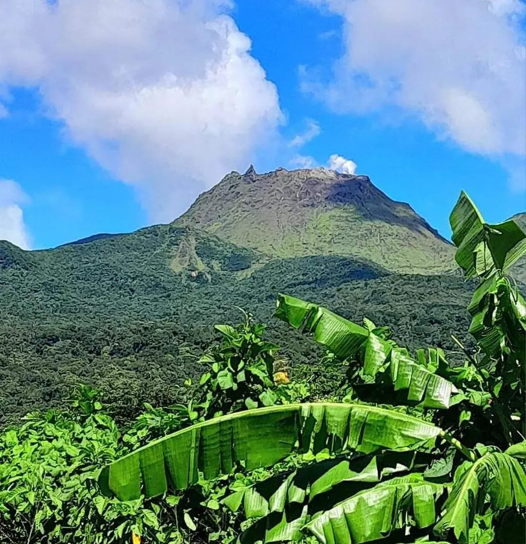 Pipirite Chantant - Studios Vue Mer Sainte-Rose 0*,  Guadeloupe